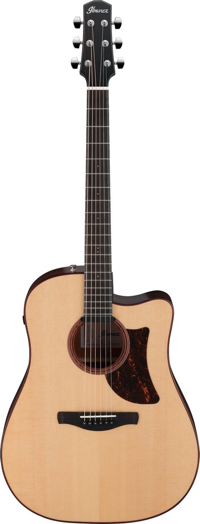 Ibanez Westerngitarre AAD300CE-LGS Bild 1