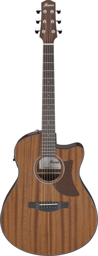 Ibanez Westerngitarre AAM54CEOPN Bild 1