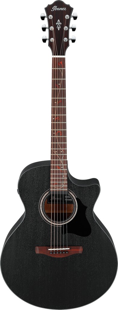 Ibanez Westerngitarre AE295-WK Bild 1