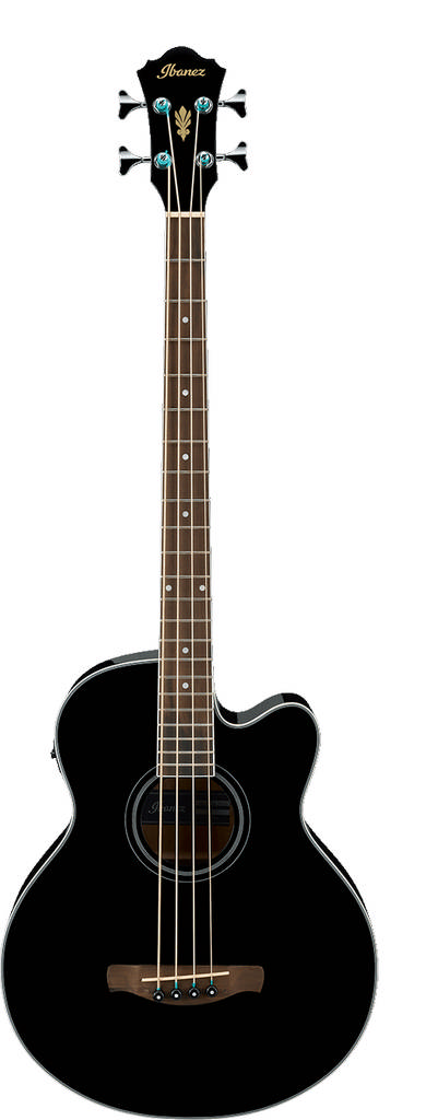 Ibanez Akustik Bass Bild 1