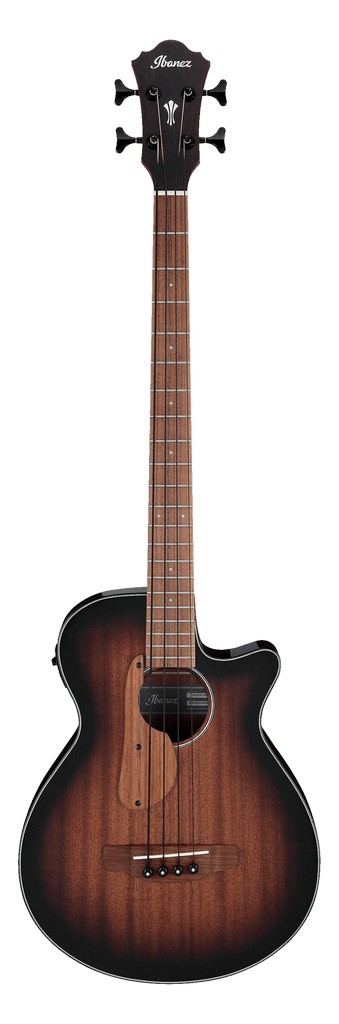 Ibanez Akustik Bass AEGB24EMHS Bild 1