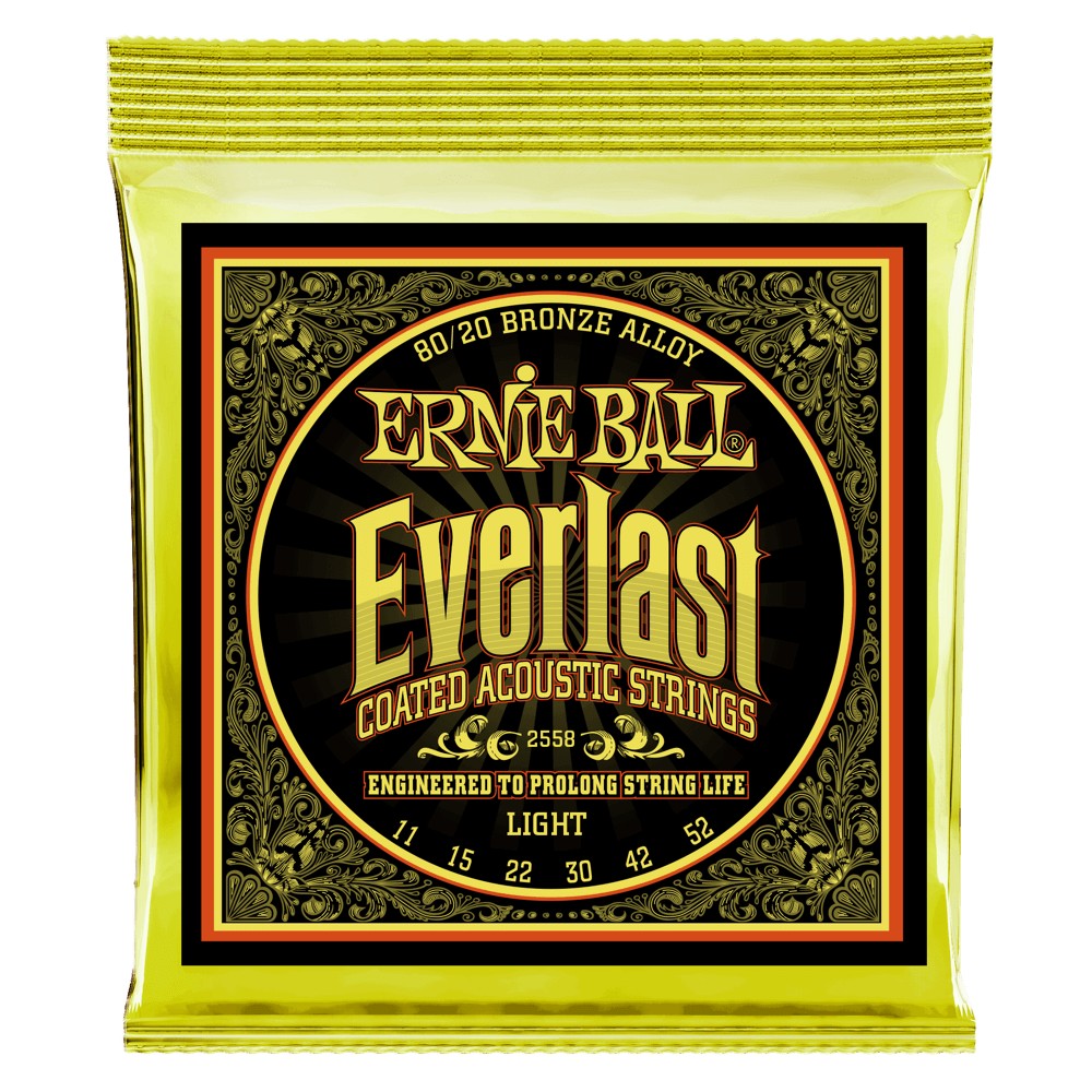 Ernie Ball Everlast Coatet 011 - 052 fr Westerngitarre Bild 1