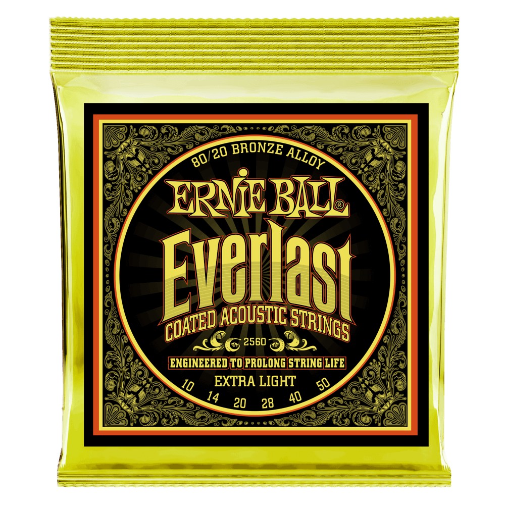 Ernie Ball Everlast Coatet 010 - 050 fr Westerngitarre Bild 1