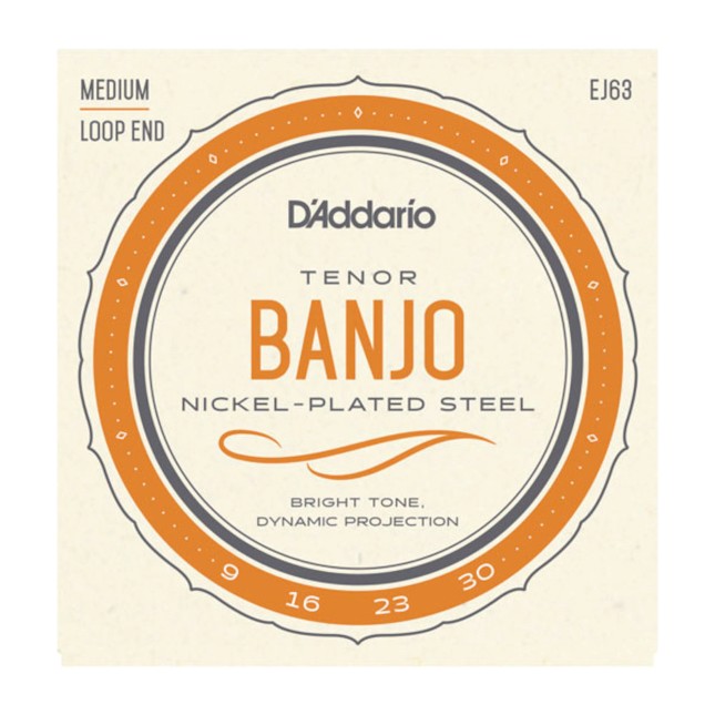 D'Addario EJ 63 Tenor Banjo Bild 1