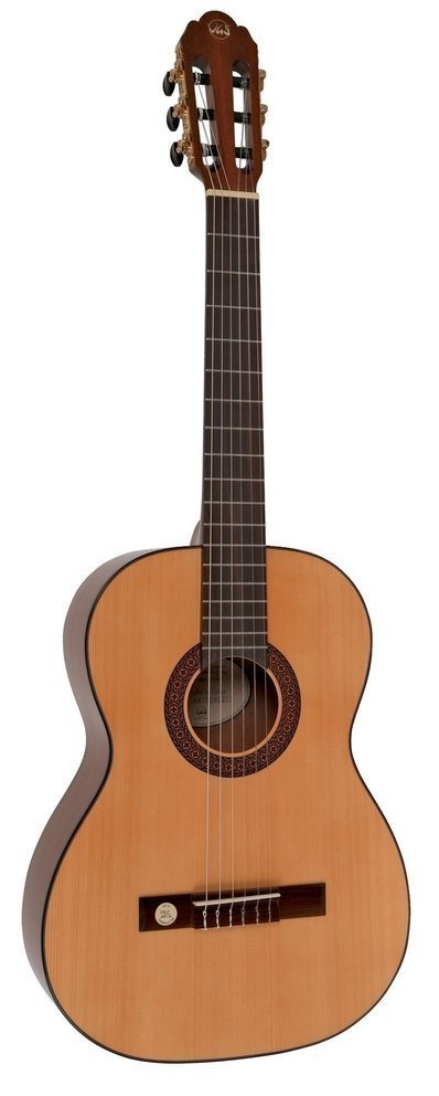 VGS Pro Arte GC 100 A Schlergitarre Bild 1