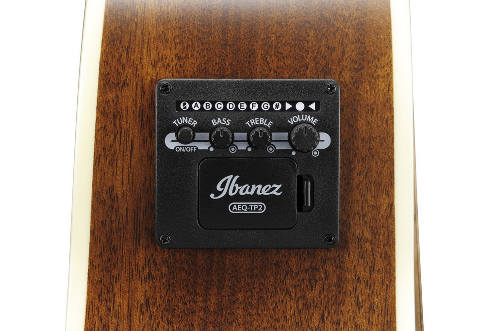IBANEZ Westerngitarre AE 100 DBF Bild 4