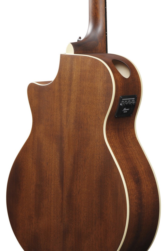 IBANEZ Westerngitarre AE 100 DBF Bild 2
