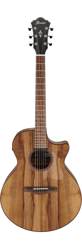 Ibanez Westerngitarre AE295MYW-LGS