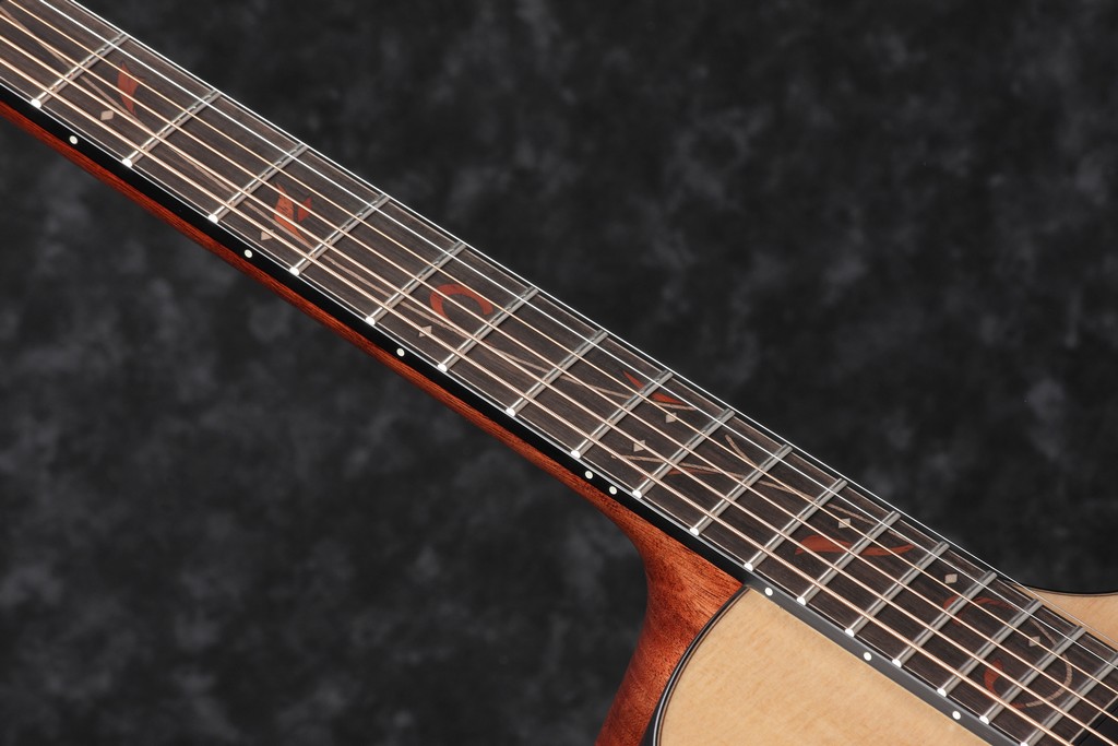Ibanez Westerngitarre AE325-LGS Bild 5