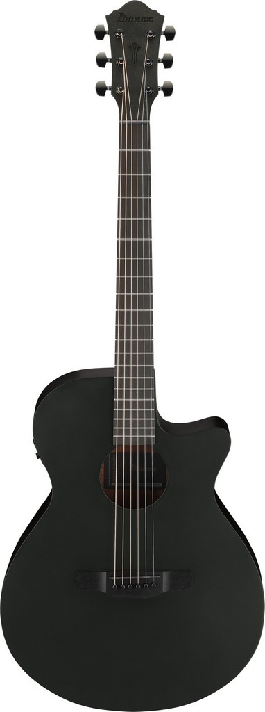 Ibanez Westerngitarre AEG 621 BOT