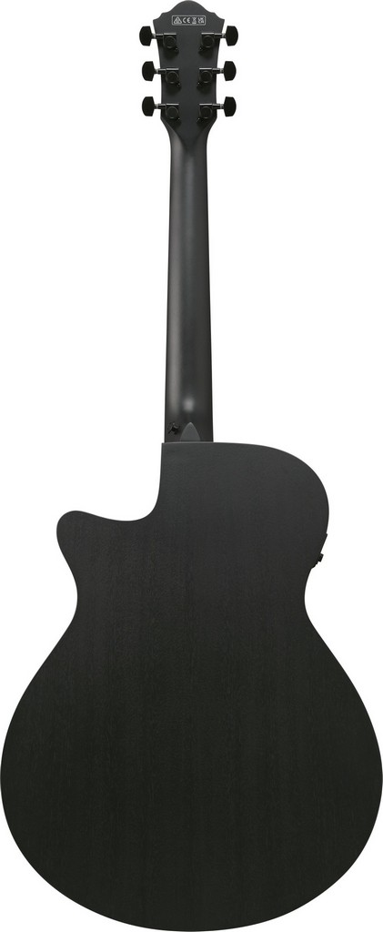 Ibanez Westerngitarre AEG 621 BOT