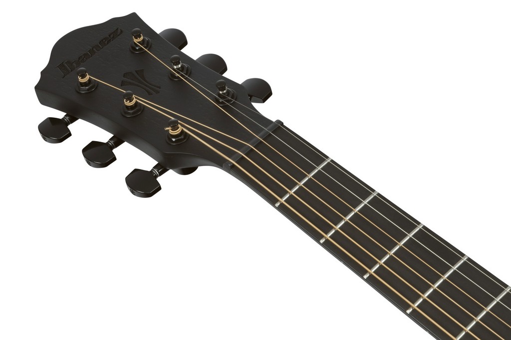 Ibanez Westerngitarre AEG 621 BOT