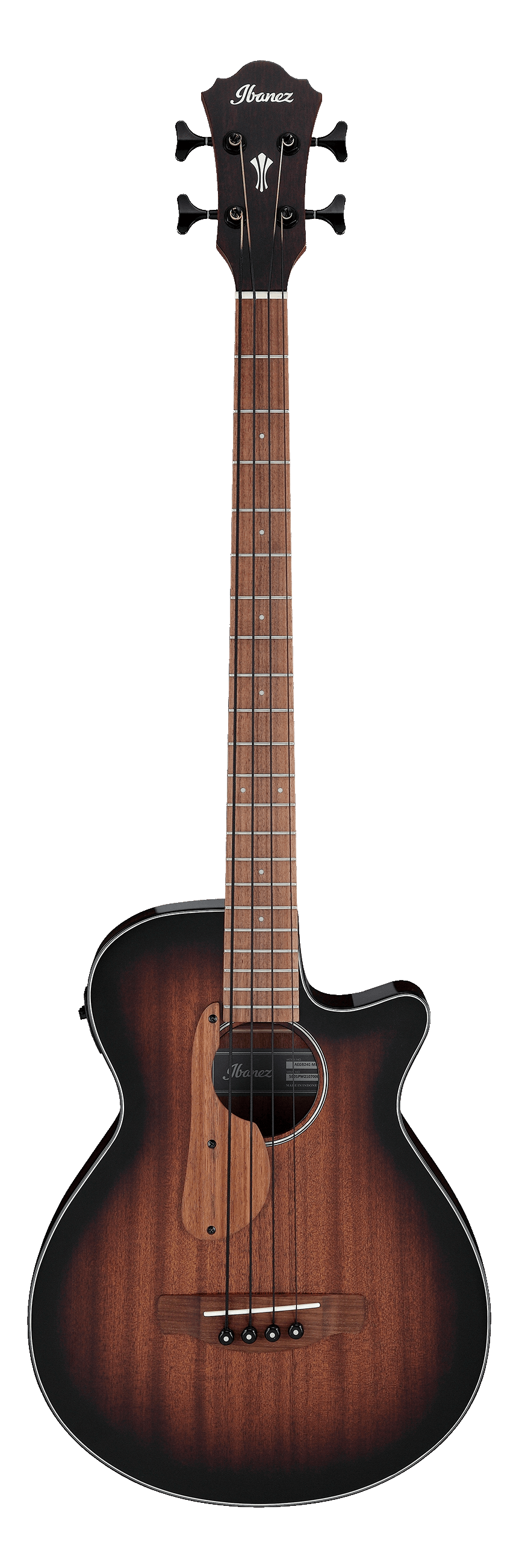 Ibanez Akustik Bass