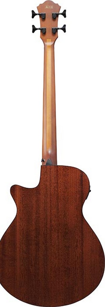 Ibanez Akustik Bass AEGB24EMHS Bild 2