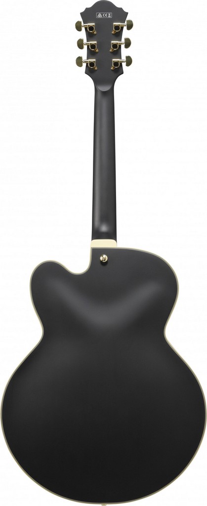 Ibanez Jazzgitarre AF 75 GBKF