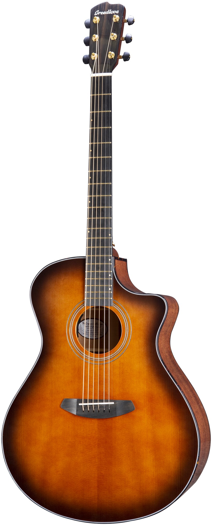 Breedlove Westerngitarre Organic Performer, Concerto, Bourbon
