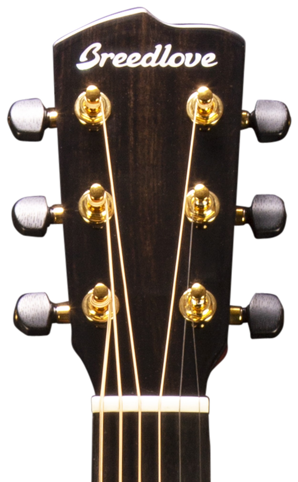 Breedlove Westerngitarre Organic Performer, Concerto, Bourbon Bild 4