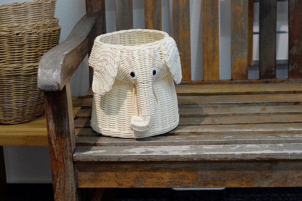 Nino Korb Elefant