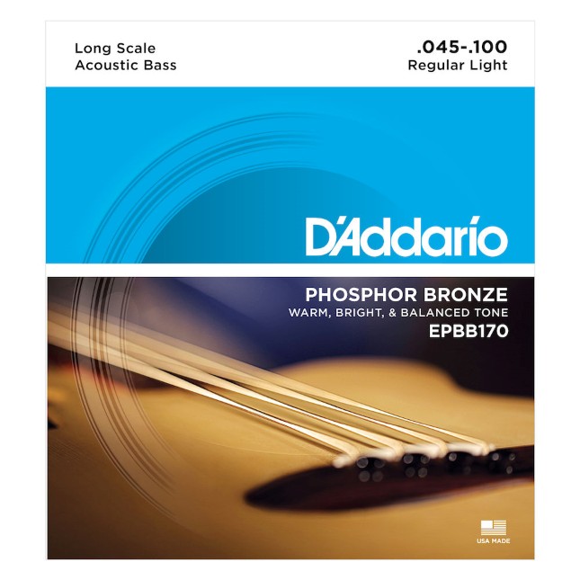 D'Addario Phosphor Bronze Acoustic Bass, Long Scale, 45-100