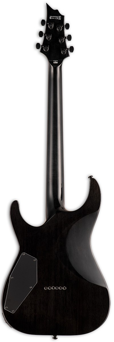 ESP LTD E-Gitarre H 1001See Thru Black Bild 2