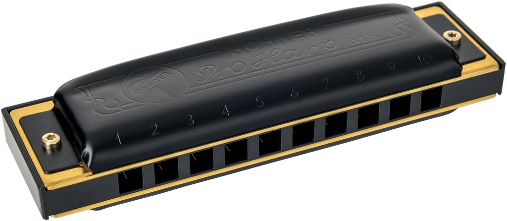 Hohner Pro Harp MS C