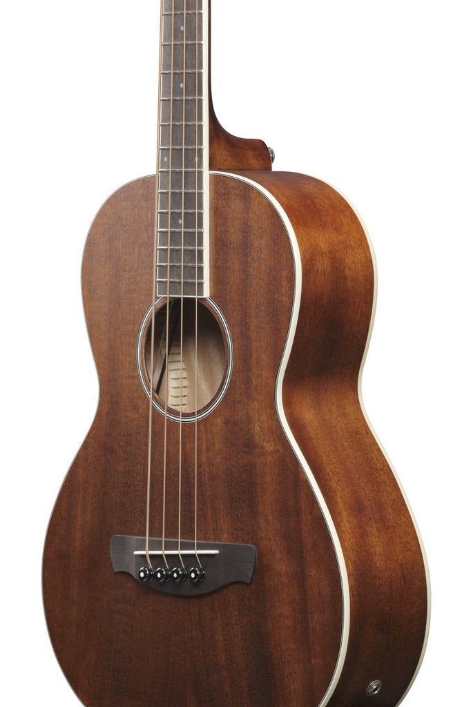 Ibanez Akustik Bass PNB14EOPN