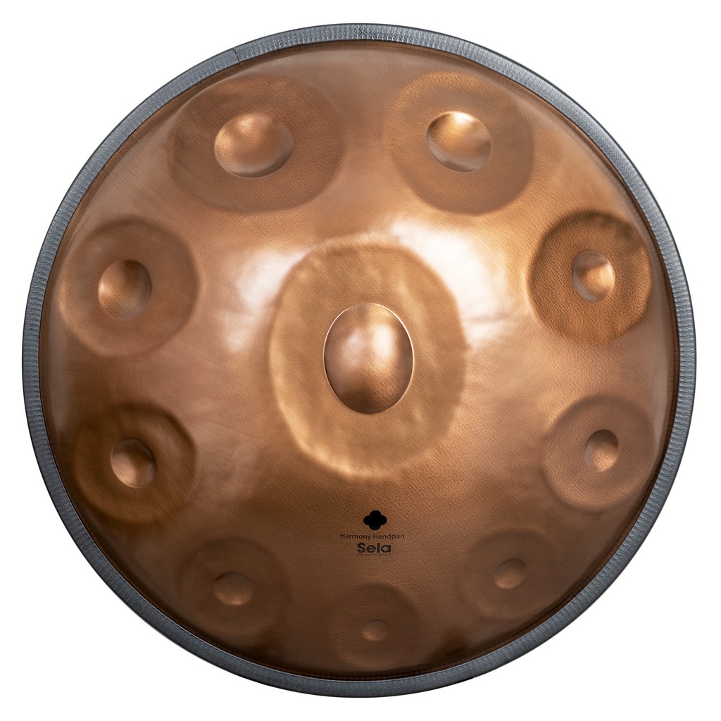 SELA SE-321 Harmony Handpan D Amara 10 Phoenix Steel Bild 2