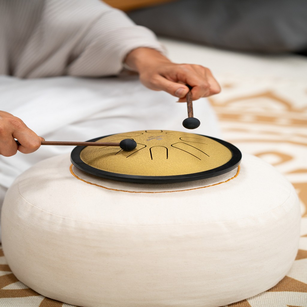 MEINL Sonic Energy Small Steel Tongue Drum Gold