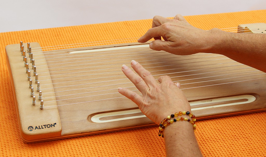 Allton Spr-Monochord Wlbi, Buche