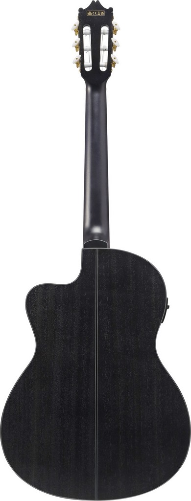 Ibanez Konzertgitarre GA5FMTCE-OB
