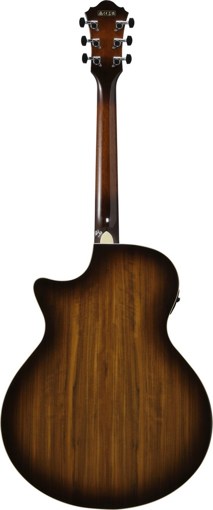 IBANEZ Westerngitarre AE 160 VMS