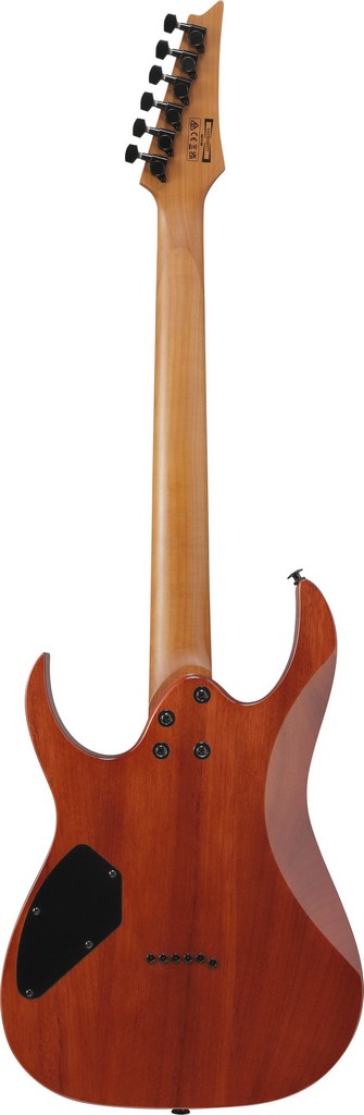 Ibanez E-Gitarre GRGR 221 FA TDK