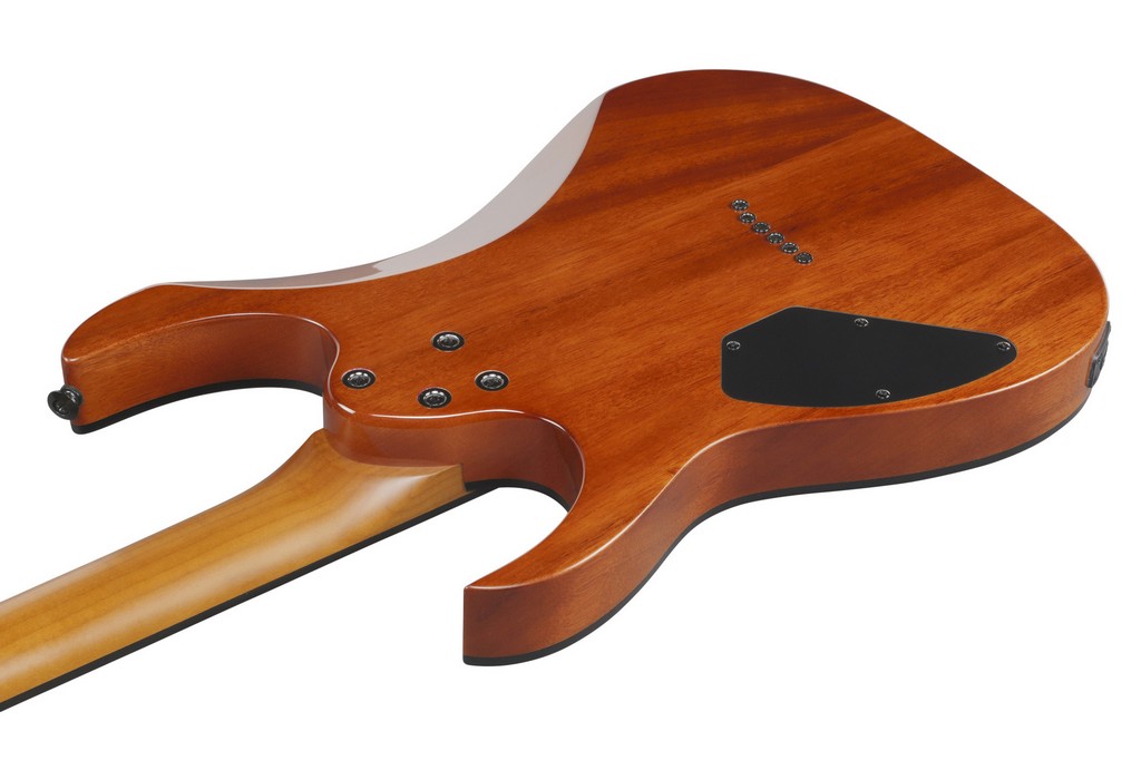 Ibanez E-Gitarre GRGR 221 FA TDK